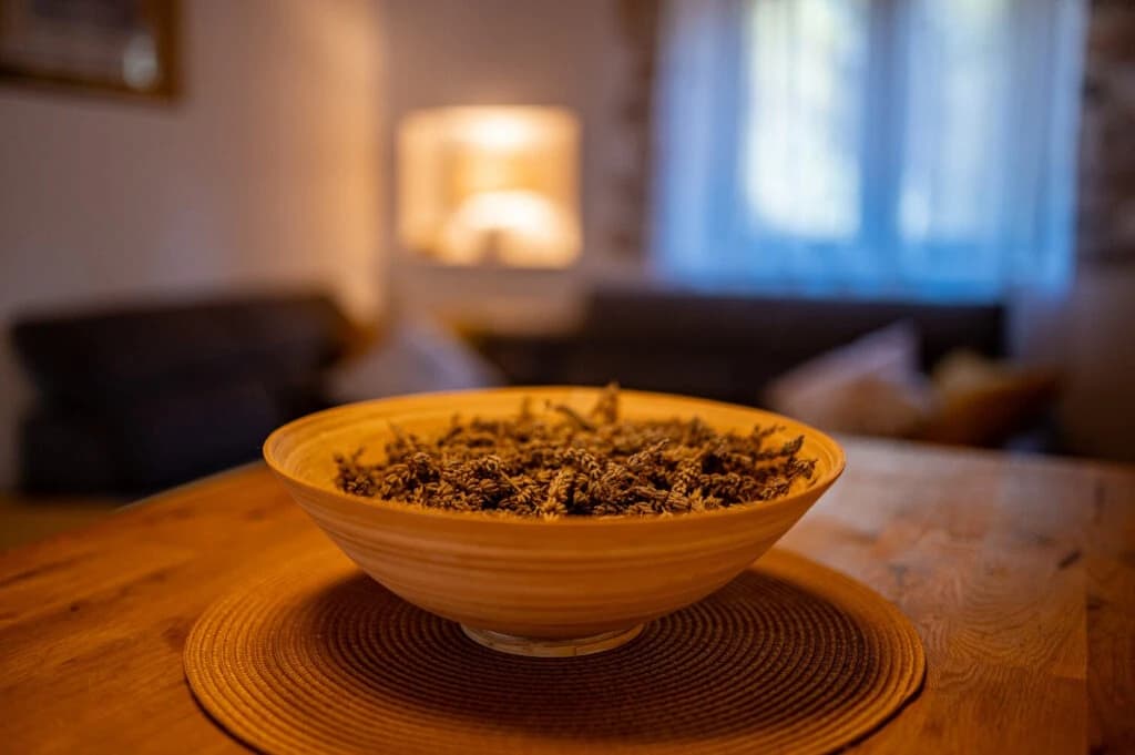 Fortuna House na Hvaru, fotografija 14